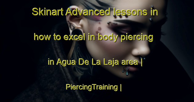 Skinart Advanced lessons in how to excel in body piercing in Agua De La Laja area | PiercingTraining | PiercingClasses | SkinartTraining-Mexico